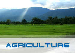 Agriculture Solutions