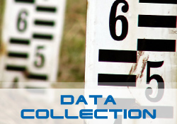 Data Collection Solutions