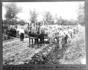 Early roads were not what they are today.