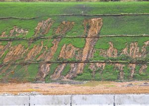 Roadside erosion